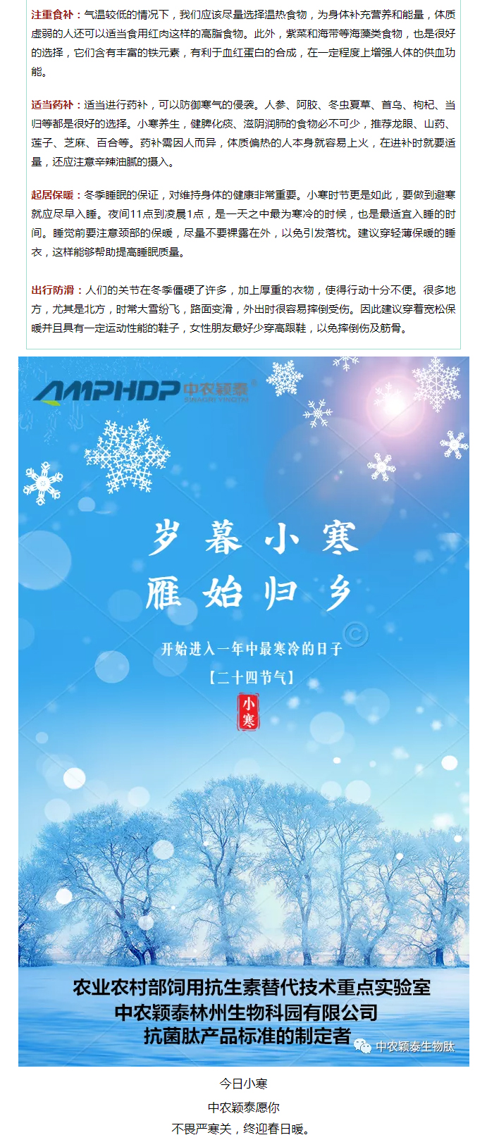 2022年（第2期）：小寒今日至，年味已冒頭_04