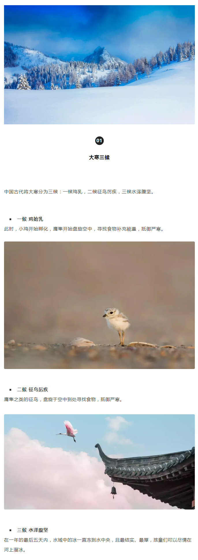 2022年（第5期）：大寒：愿您安暖幸福，歲歲平安_02