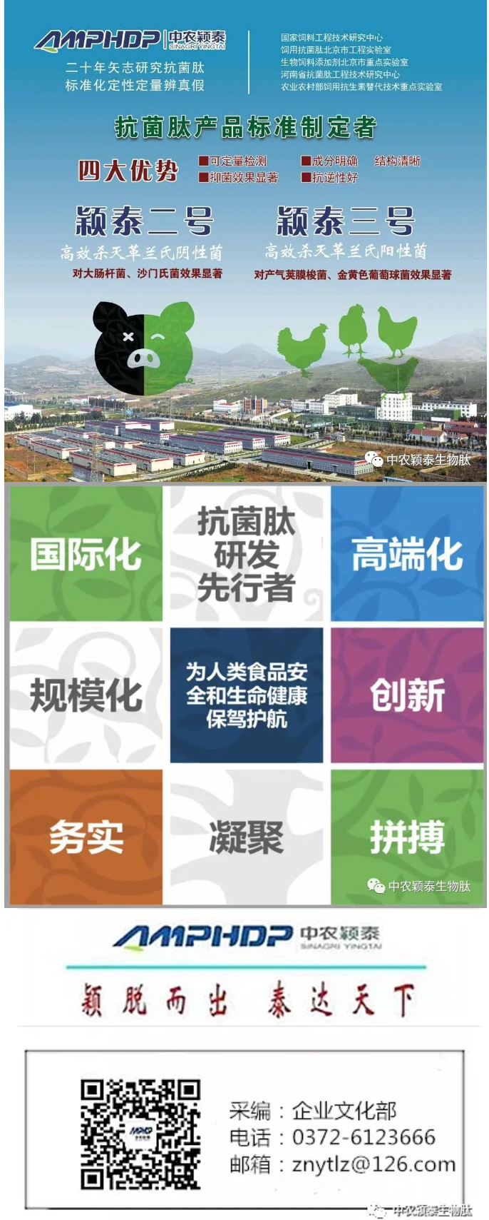 2022年（第5期）：大寒：愿您安暖幸福，歲歲平安_08