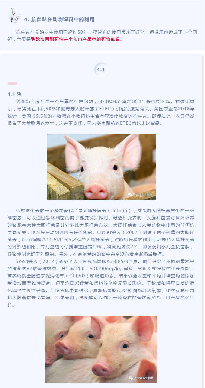 抗菌肽作為替抗飼料添加劑對動物生產(chǎn)、食品安全和公共衛(wèi)生影響的綜述（下）_01
