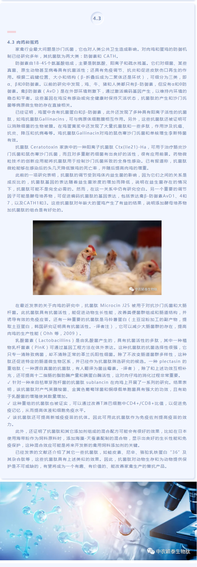 抗菌肽作為替抗飼料添加劑對動物生產(chǎn)、食品安全和公共衛(wèi)生影響的綜述（下）_03