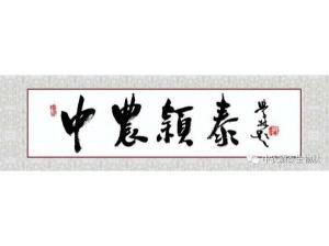 2021年：工作動態(tài)，中農(nóng)穎泰工會順利換屆