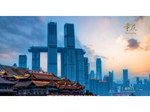 中農(nóng)穎泰集團助力2021·太陽鳥論壇盛大開幕！