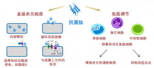 泰倍健——新型免疫增強劑，構(gòu)建核心抗病力